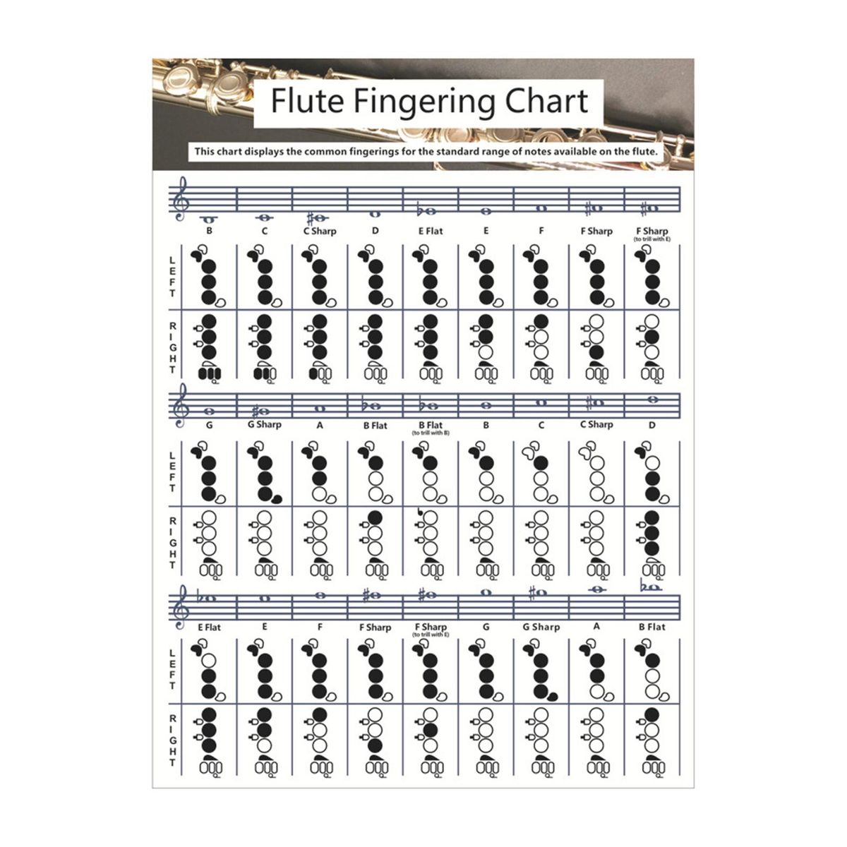 Useful Flute  Fingering Chart Fingering Practice Instrument For Small