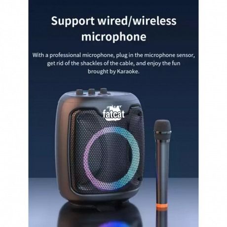 High Quality Bass Zealot P8 Wireless Bluetooth Speaker