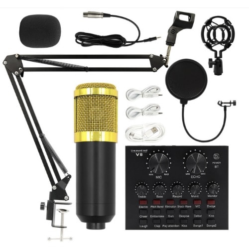 Condenser Microphone + Sound Card (v8) Combo
