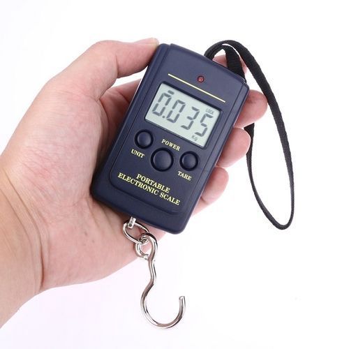 10g Mini Digital Fishing Scale Travel Weighting
