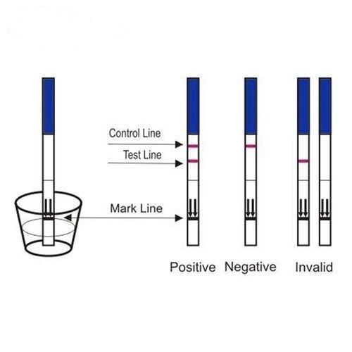 P-TEST Pregnancy Test Strip(packet Of 50 Test Stripes)