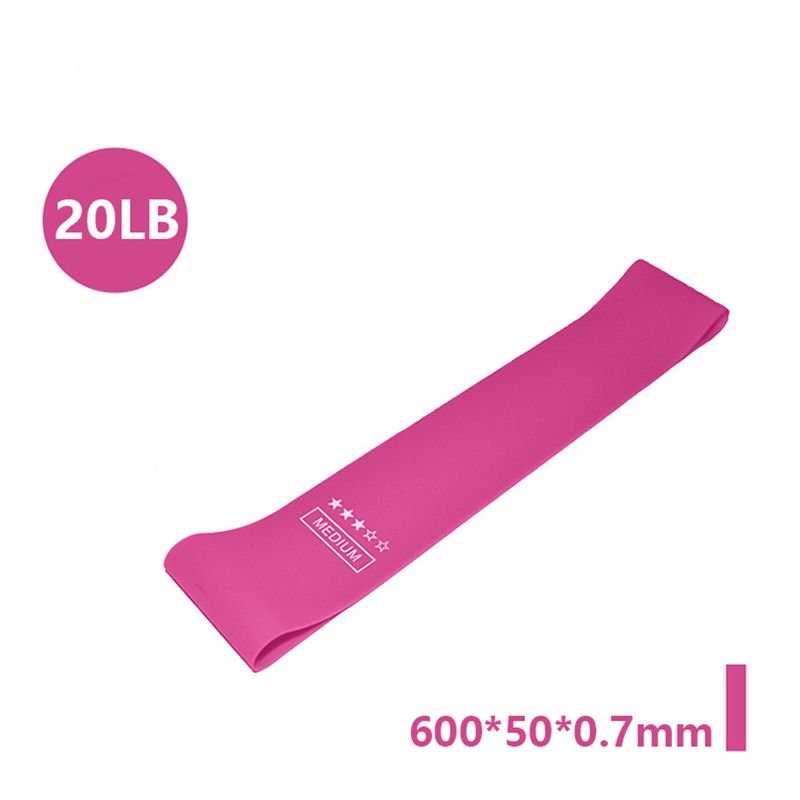 Gym With Elastic Bands,Fitness Training Equipment,Yoga Resistance Bands,Exercise-20LB