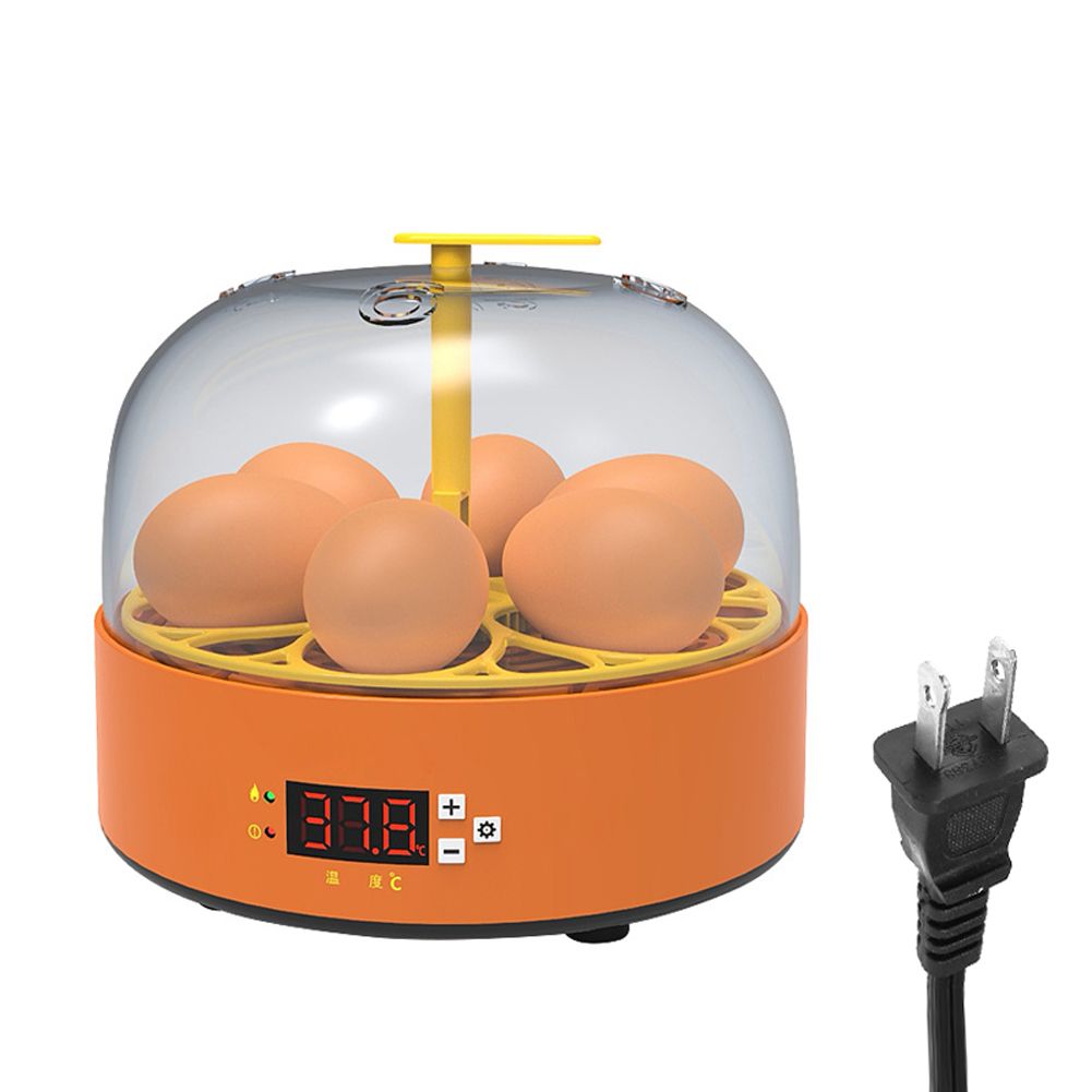 6 Eggs Children Experimental Eggs Incubator Chicken