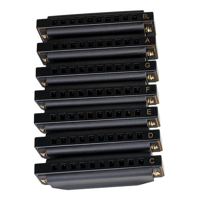 10-Hole Diatonic Harmonica Set - Key Of G, A, Bb, C, D, E, F With Case