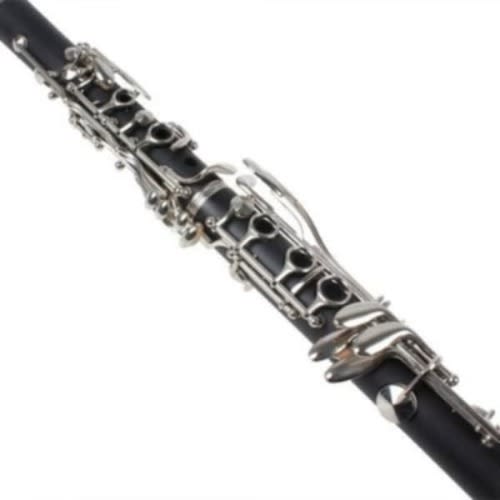 Professional Clarinet