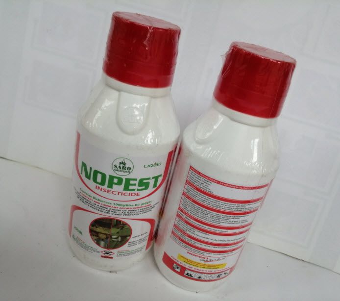 NOPEST INSECTICIDE Insects Killer For Any Kind Of Insects -250ml