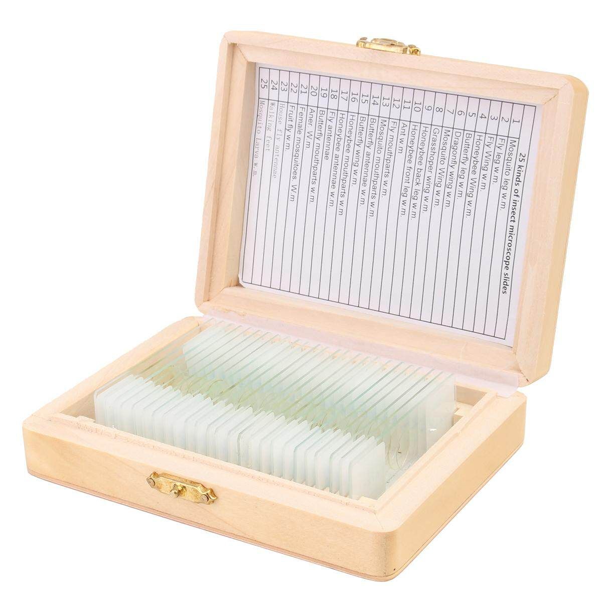 25Pcs Basic Science Microscope Glass Slides Sample With Wooden Box
