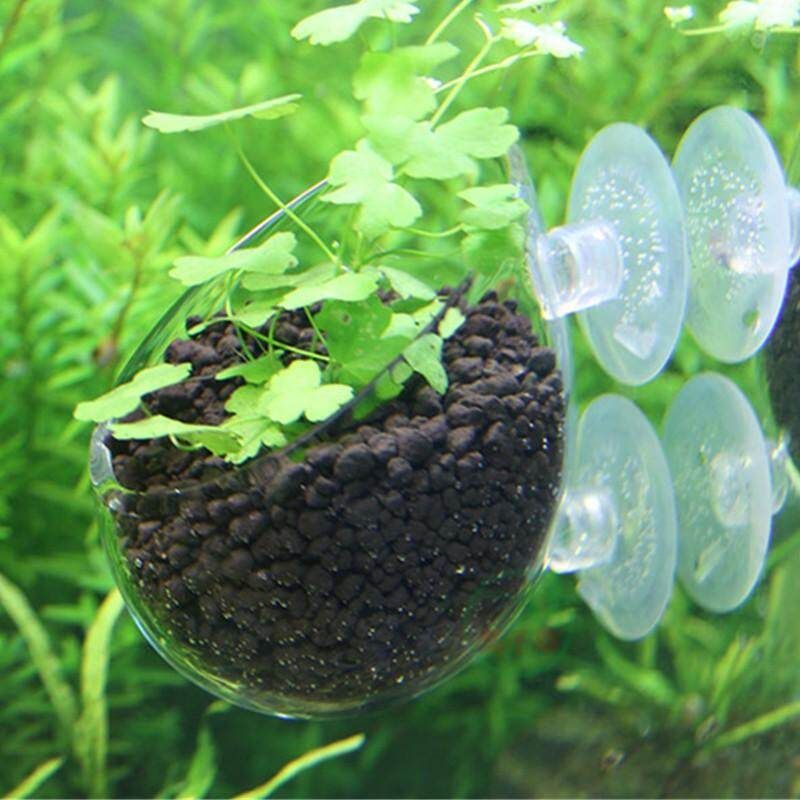 2PCS Hinterfeld Aquarium Fish Tank Glass Live Plant Cup Pot Crystal Red Shrimp Holder