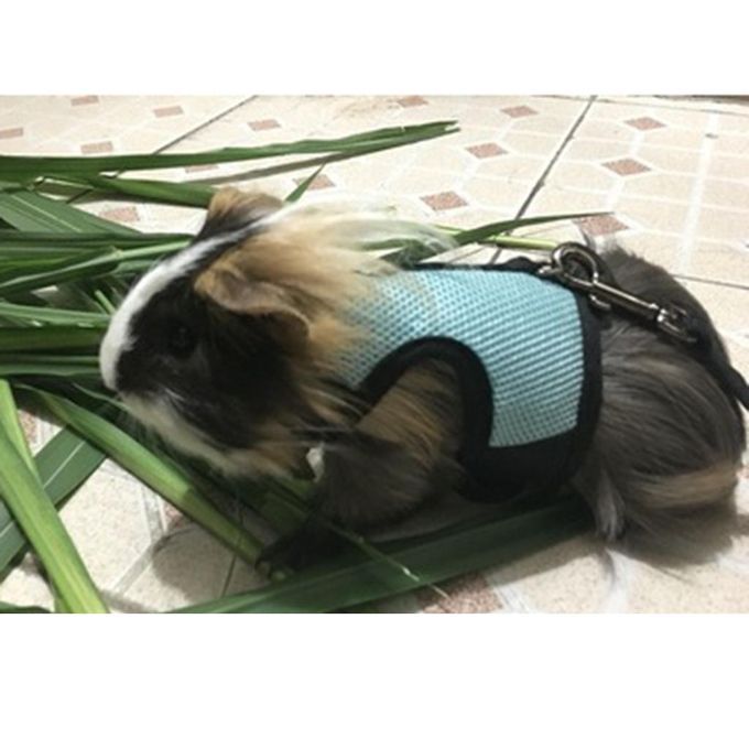 Hamster Rabbit Guinea Pig Rat Ferret Breathable Mesh Harness Blue L