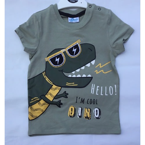 Hello Dino Toddler Boy Top
