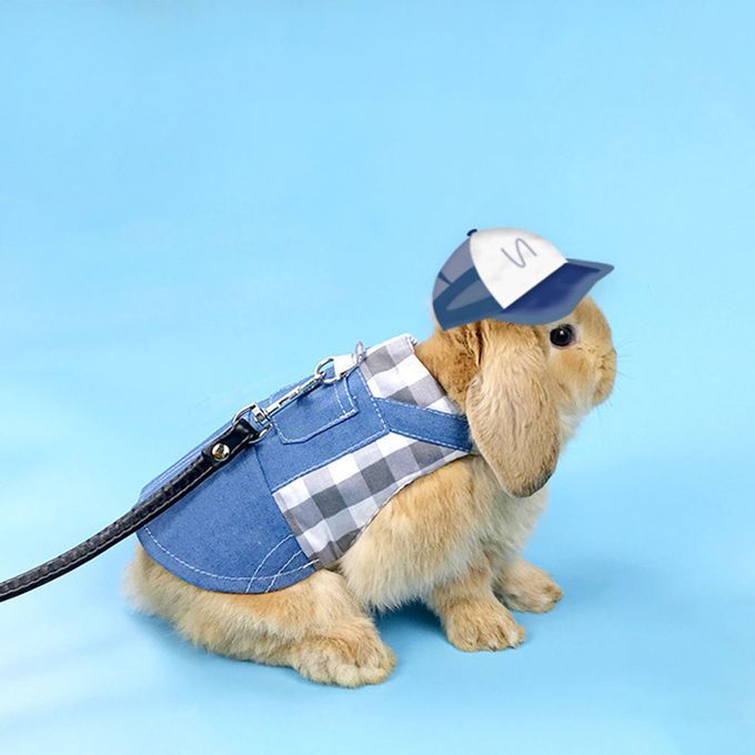 Rabbit Vest Harness Breathable Adjustable Clothes For Kitten L Gray