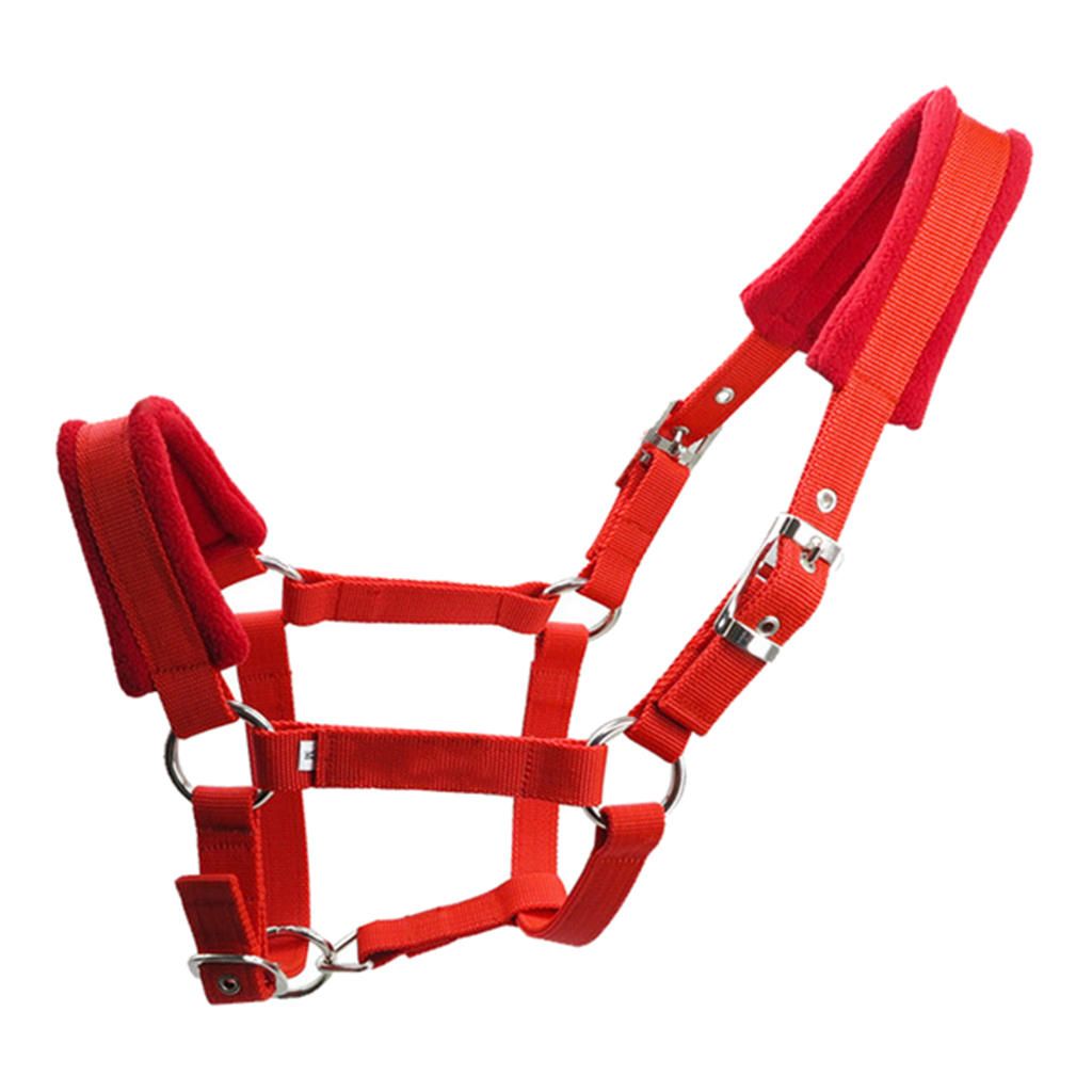 Soft Padded Pony Horse Halter Bridle Headstall Head Collar Horse