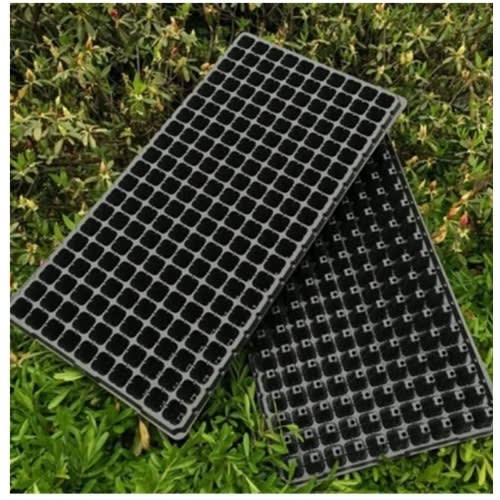 Seedling Tray  - 200 Holes Or Cells