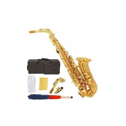 Professional Alto Gold Saxophone with Complete Accessories