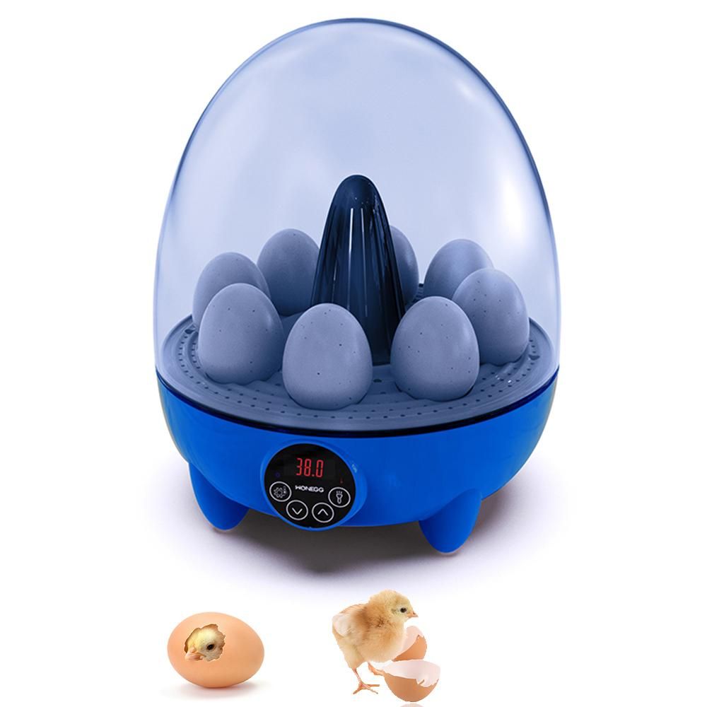 Incubators for Hatching Eggs 8 Egg Incubator with LED Light Temperature Control 360 Degree View Chicken Egg Incubators for Duck Goose Quail Bird for School/Home/Farm/Kids