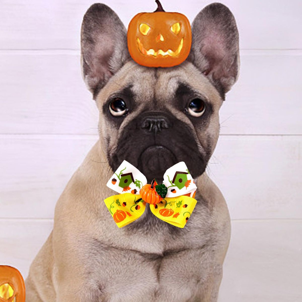 Cat Collar Necklace Fall Halloween Pet Bow Tie For Style D