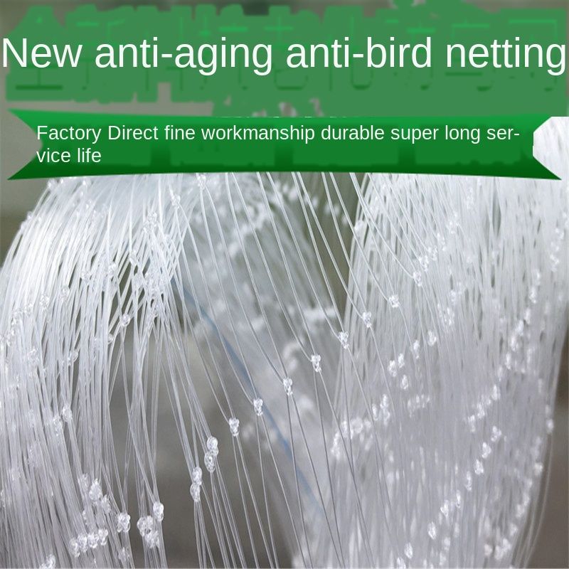 Transparent Preventing Anti Bird Net Nylon Lasting Netting