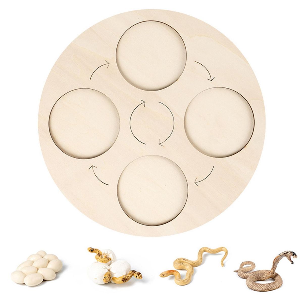 Life Cycle Board Cobra Life Cycle Board Set Lifestyle
