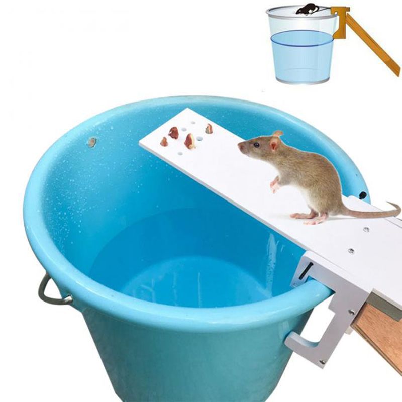 (White)Home Garden Pest Controller Rat Trap Quick Kill Seesa