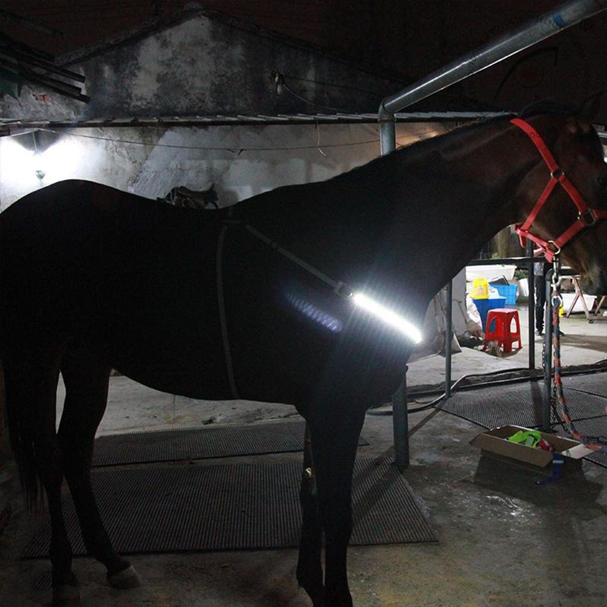 LED Horse Harness Collar Breastplate Adjustable Night Horse White