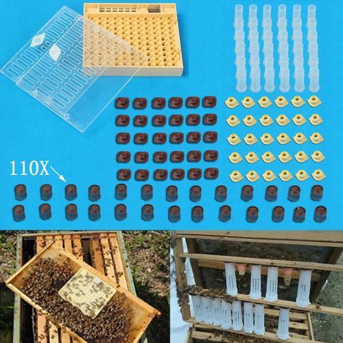 Complete Queen Rearing System Bee Catcher Cage Beekeeping+110 Cell Cups Tool Kit