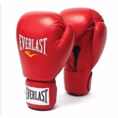 Everlast Boxing Gloves
