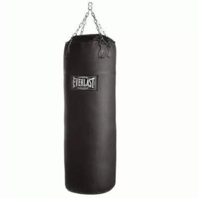 Everlast Punching Bag