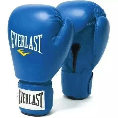 Everlast Boxing Gloves
