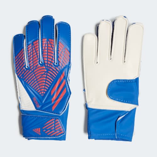 Predator Training Gloves