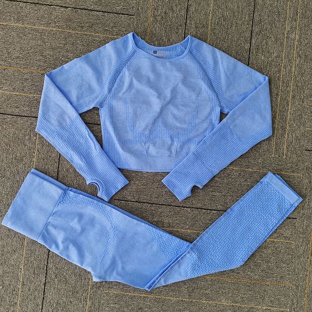 Seamless Yoga Set Women Fitness Sport Shirts SkyBlueSet_S