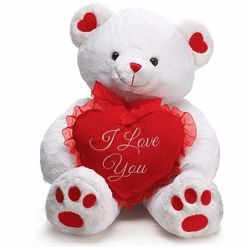 Soft Valentine's Teddy Bear + Gift