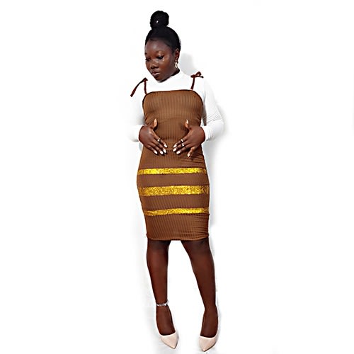 Women's  Bodycon Dress - Brown