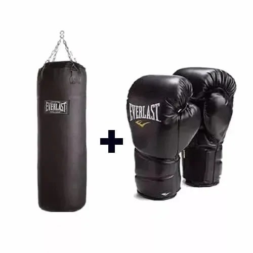 20kg Everlast Punch Bag + Boxing Gloves
