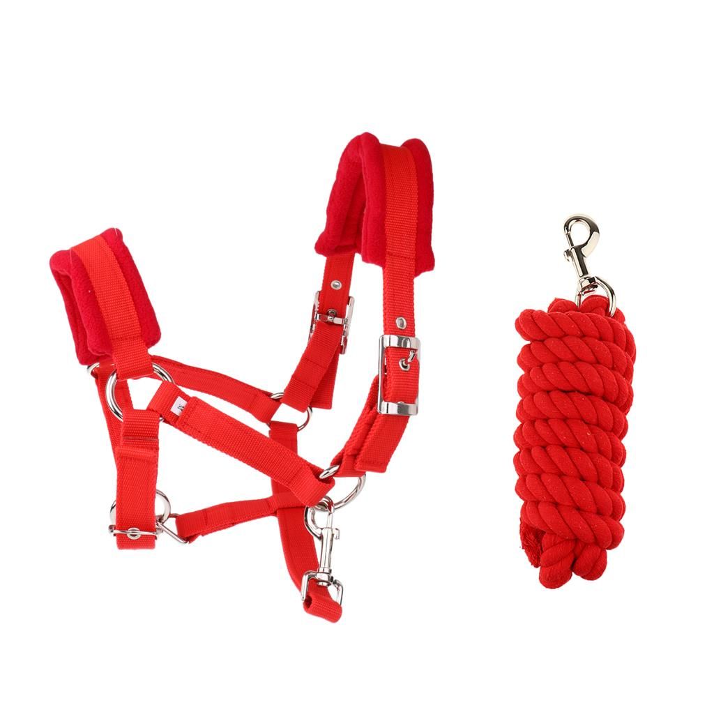 Soft Padded Adjustable Horse Headcollar (Large) + 2.5