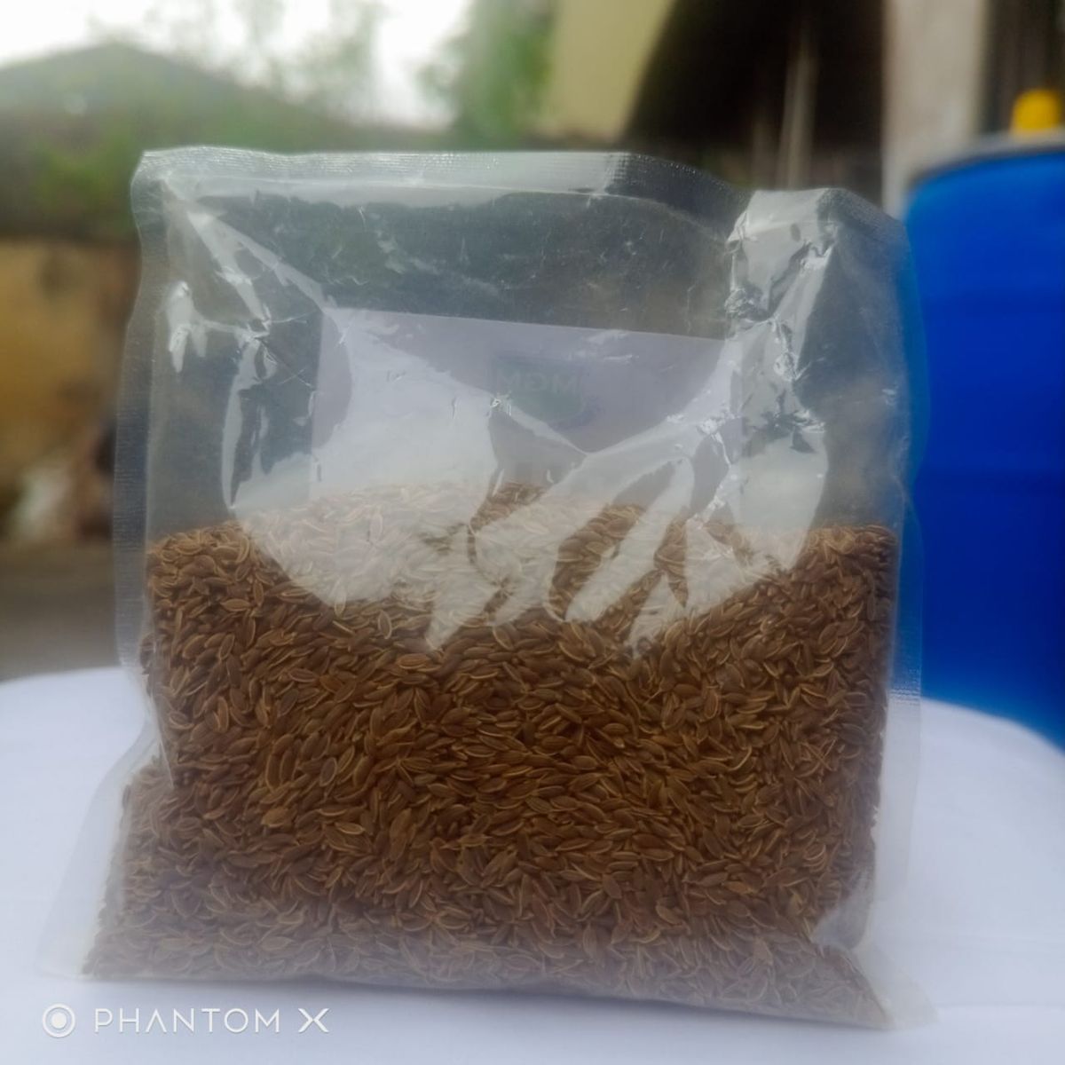 Organic Dill Seed -100g