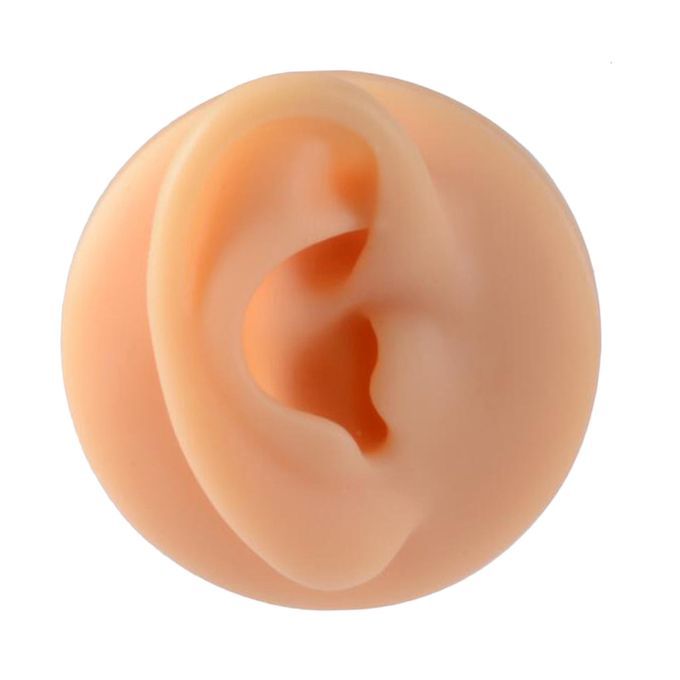 Human Body Part Model Silicone Modeling Texture Free Of Bubbles For
