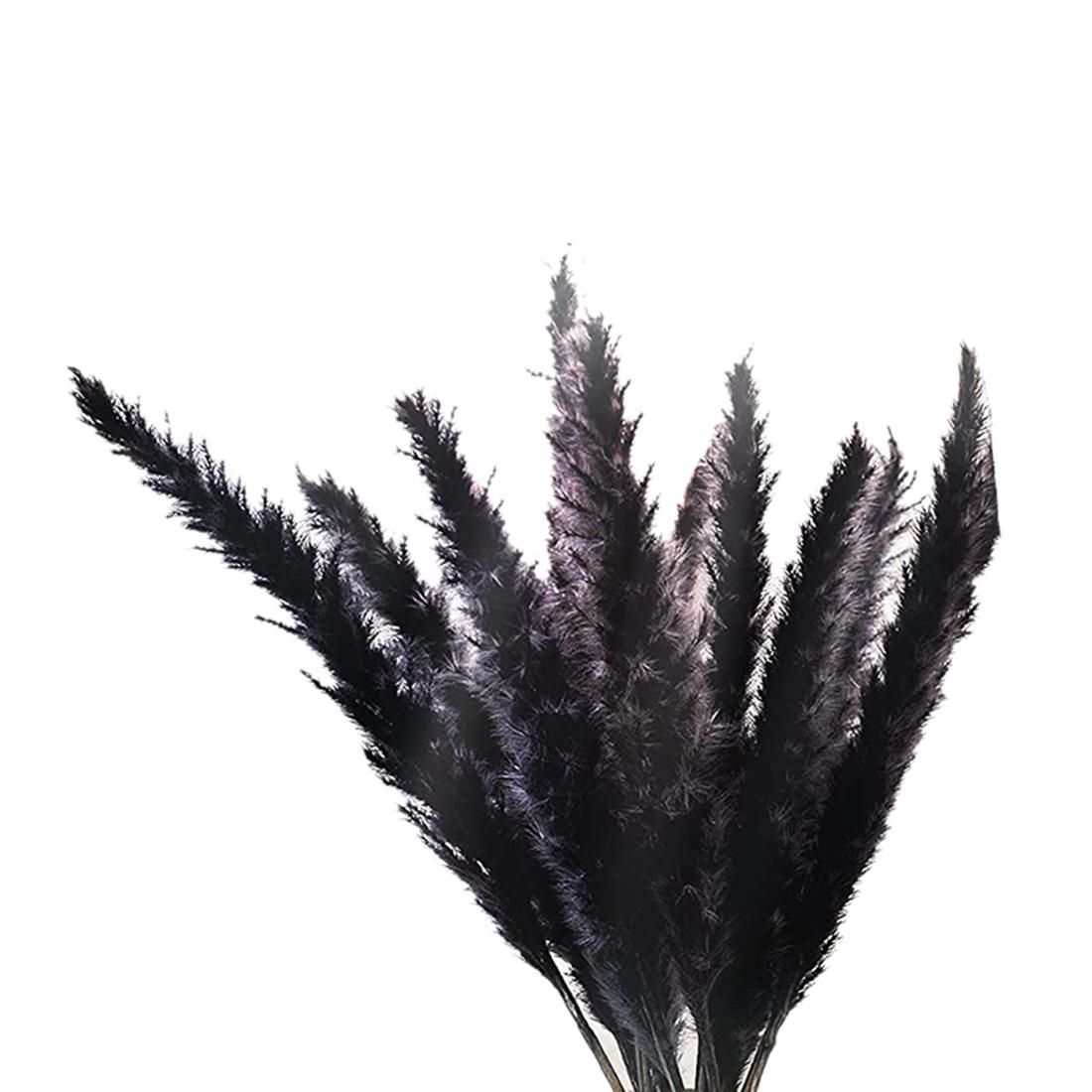 30Pcs Black Pampas Grass, 17 Inch Natural Dried Fluffy Small Stems for Home Wedding Decor Flower Arrangements,Decor