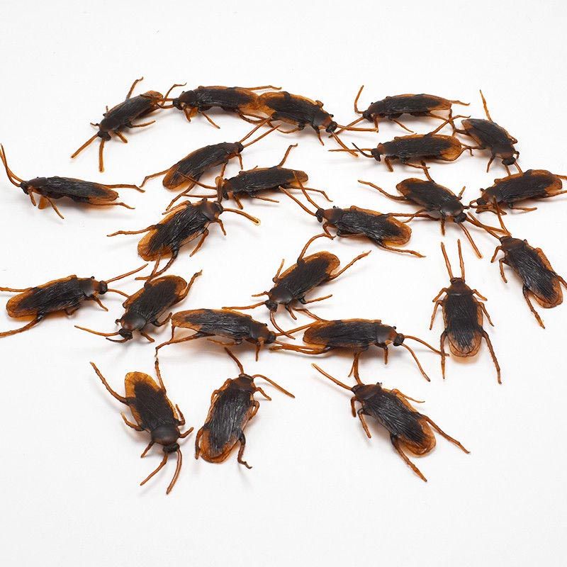 12 Pcs Halloween Simulated Plastic Cockroaches