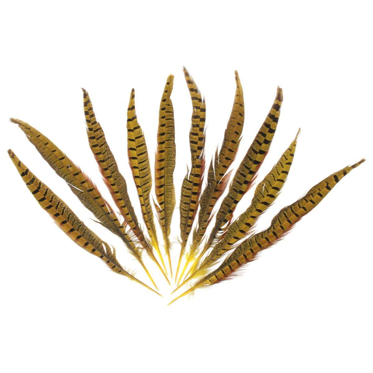 10Pcs Beautiful Pheasant Tail Feathers 12-14 Inch Long Costume Millinery Multicolor Egg Yellow