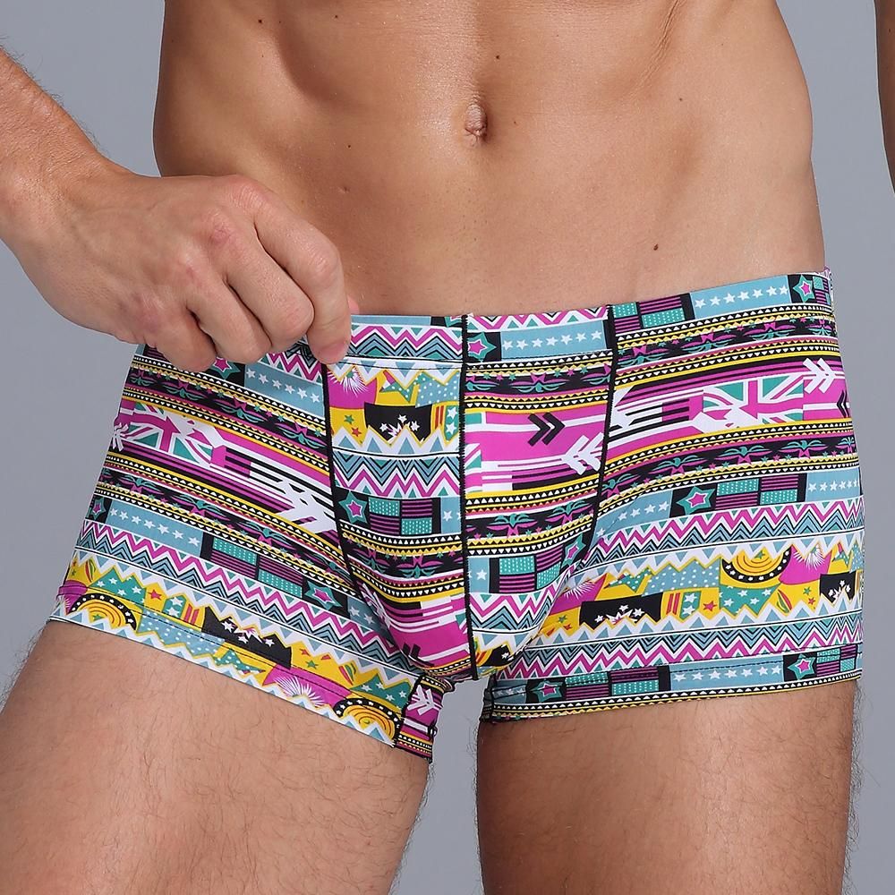Men's Silk Underwear y Low Rise Trunks    Man s horts print soft  Briefs underwear for men