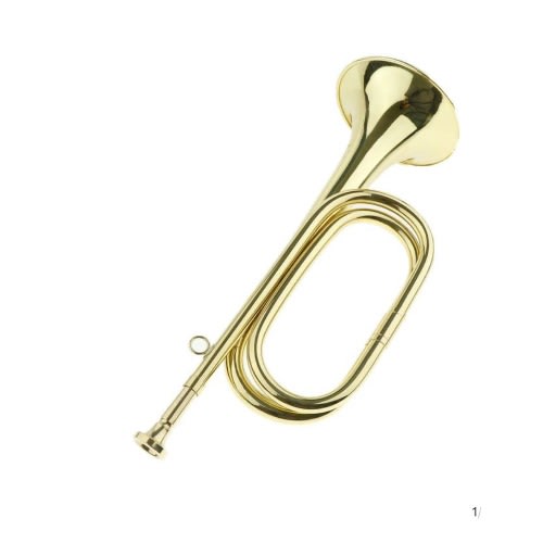 Buggle Horn