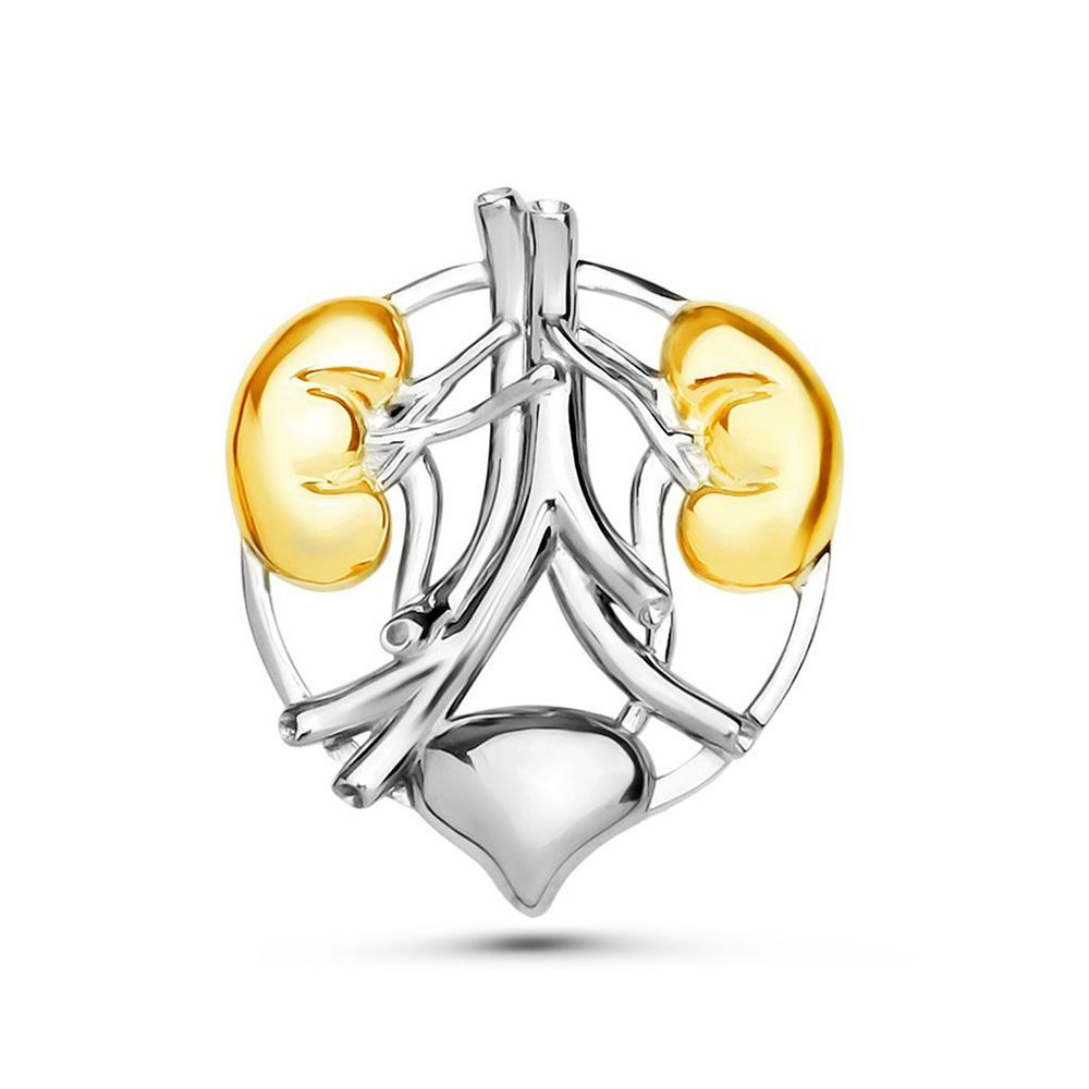 Urology Kidney Bladder Brooch Pins Silver Plated Prostate Organ Medical Jewelry