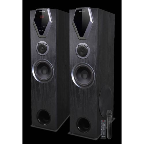 2.0 Channel TOWER BOOM SPEAKER- DMI