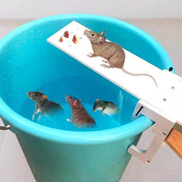 Seasaw Rat Trap/catcher