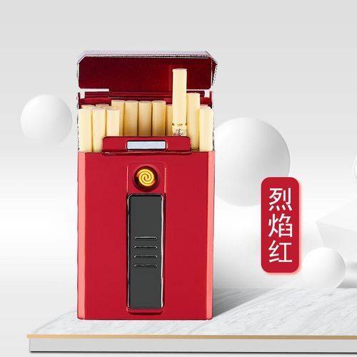 20 Ordinary Fine Cigarette Case