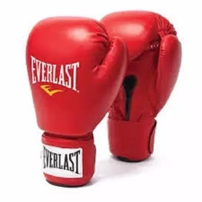 Everlast High Grade Leather Boxing Gloves