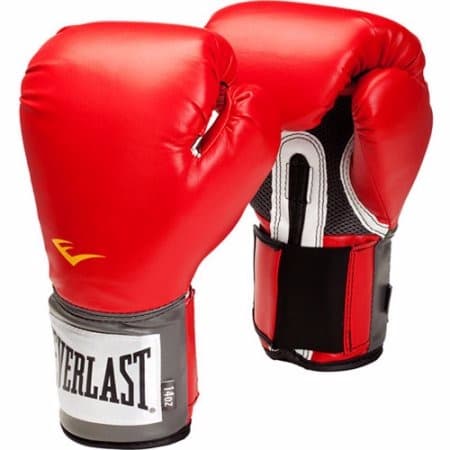 Everlast Boxing Gloves