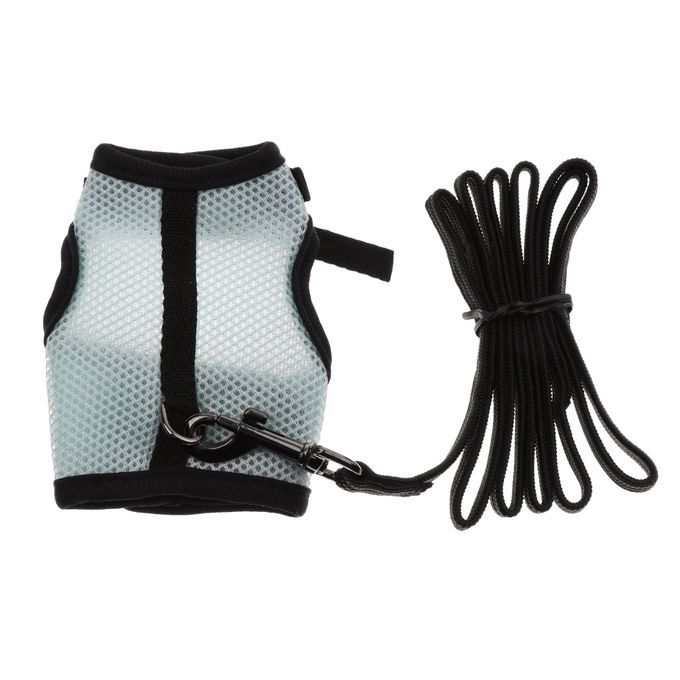 Adjustable Ferret Harness/Baby Rabbit/Squirrel/Hamster Rat Blue L